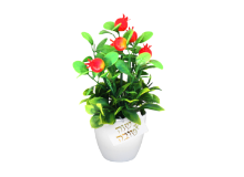 עציץ רימונים +כרטיס שנה טובה 15 ס"מ